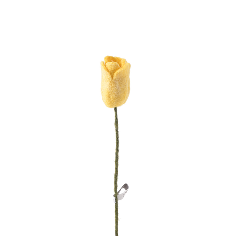 Tulpe Gelb - 3