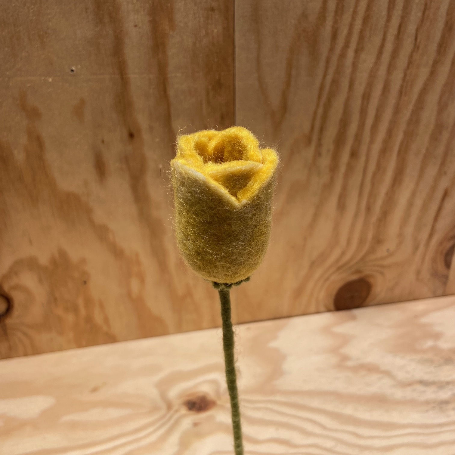 Tulip Yellow