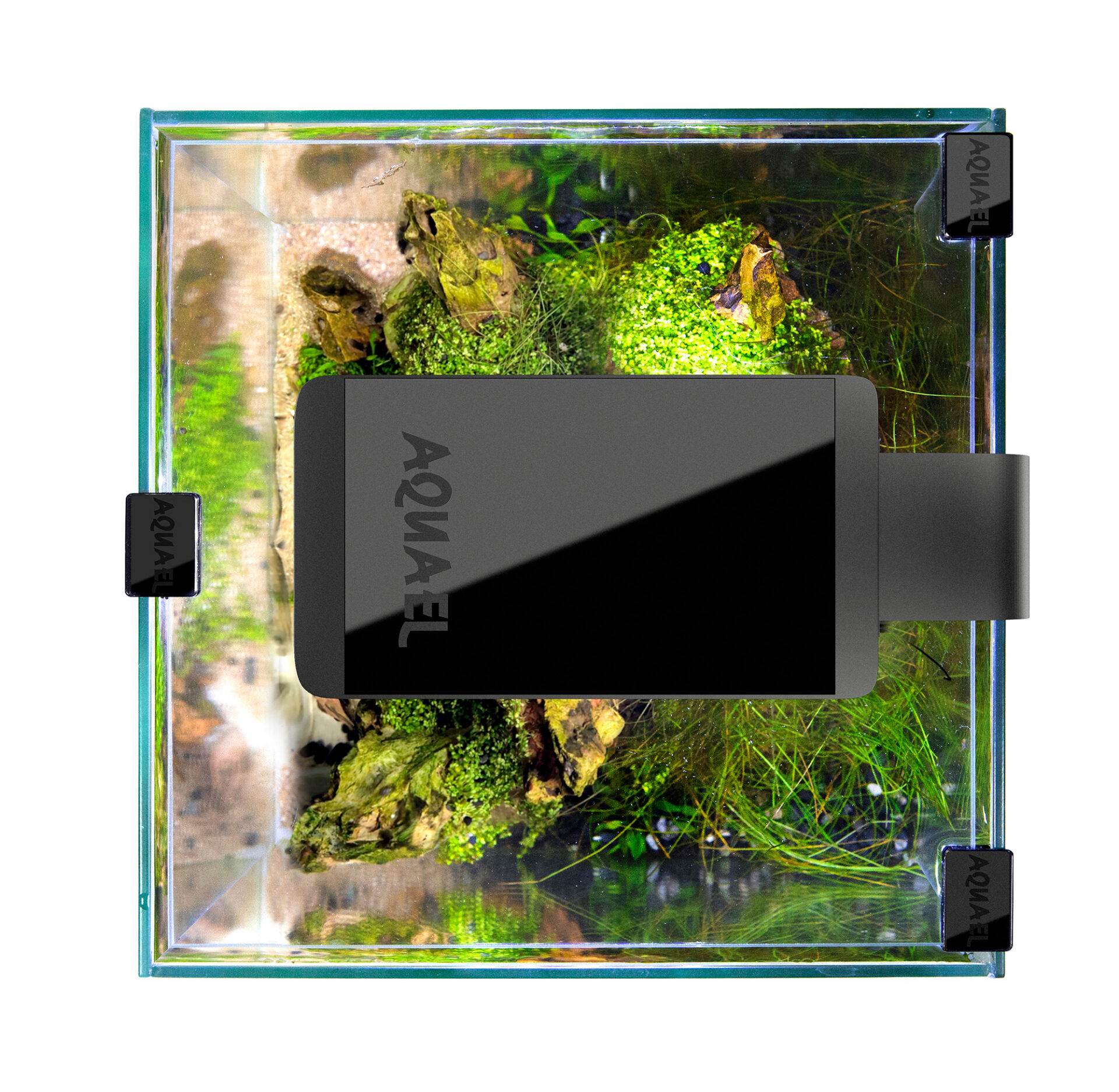 Aquael Shrimpset 10 Akvarium Svart LxBxH: 20x20x25 cm, 10 liter (Utgående modell) - 5