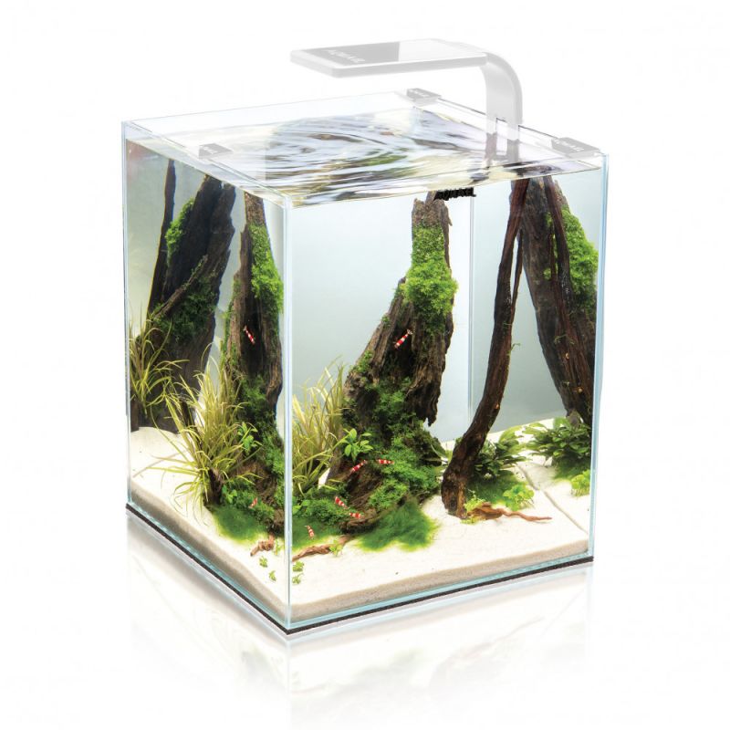 Aquael Shrimpset 10 Akvarium Vit LxBxH: 20x20x25 cm, 10 liter (Utgående modell)