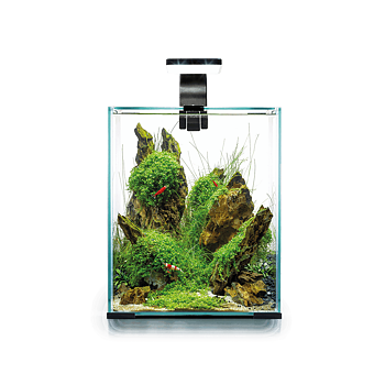 Aquael Shrimpset 20 Akvarium Svart LxBxH: 25x25x30 cm, 19 liter