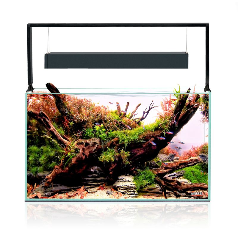 Aquael Ultrascape 60 Akvarium Forest LxBxH: 60x30x36 cm, 64 liter