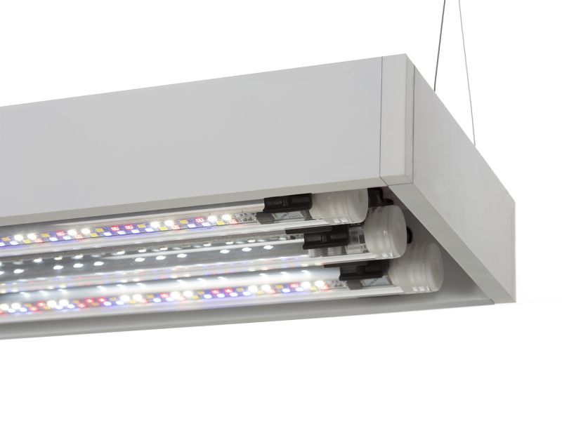 Aquael Ultrascape 60 Akvarium Snow LxBxH: 60x30x36 cm, 64 liter - 3
