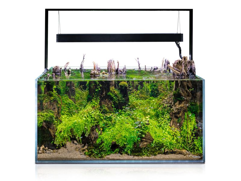 Aquael Ultrascape 90 Akvarium Forest LxBxH: 90x60x45 cm, 243 liter