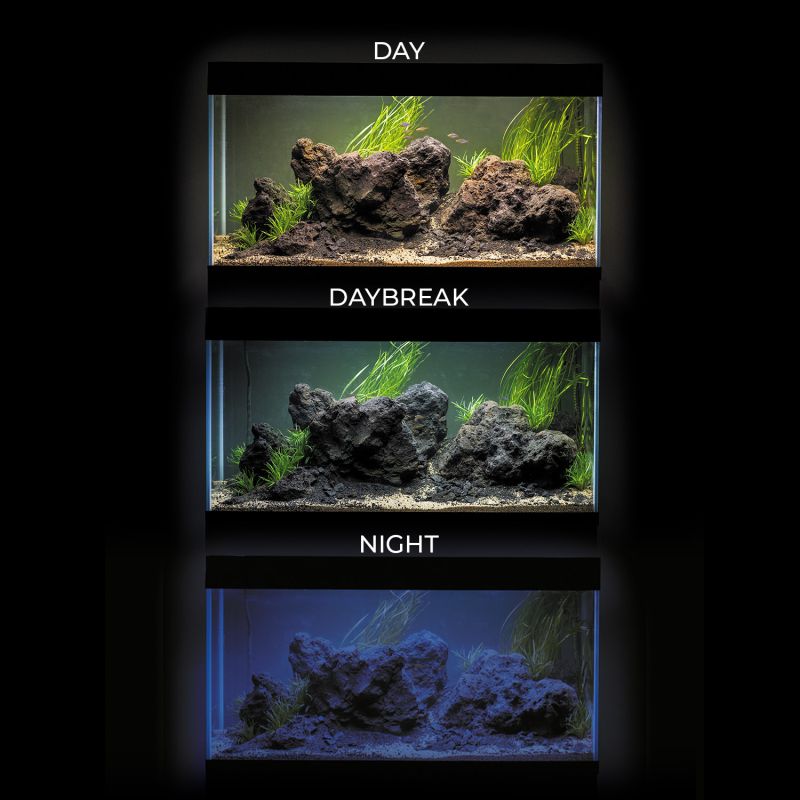 Aquael Ultrascape 90 Paket Forest LxBxH: 90x60x125 cm, 243 liter - 6