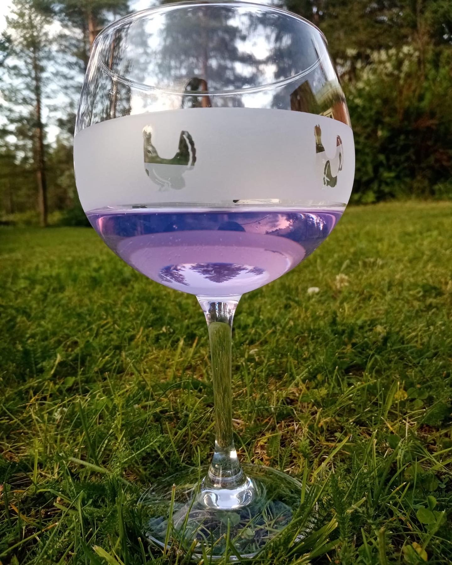 Weinglas / Aperolglas Tier - 2