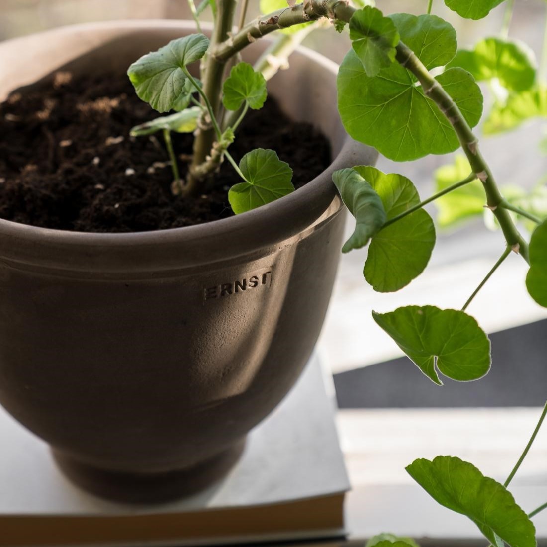Kruka ERNST 27 cm - Brun Terracotta - 3