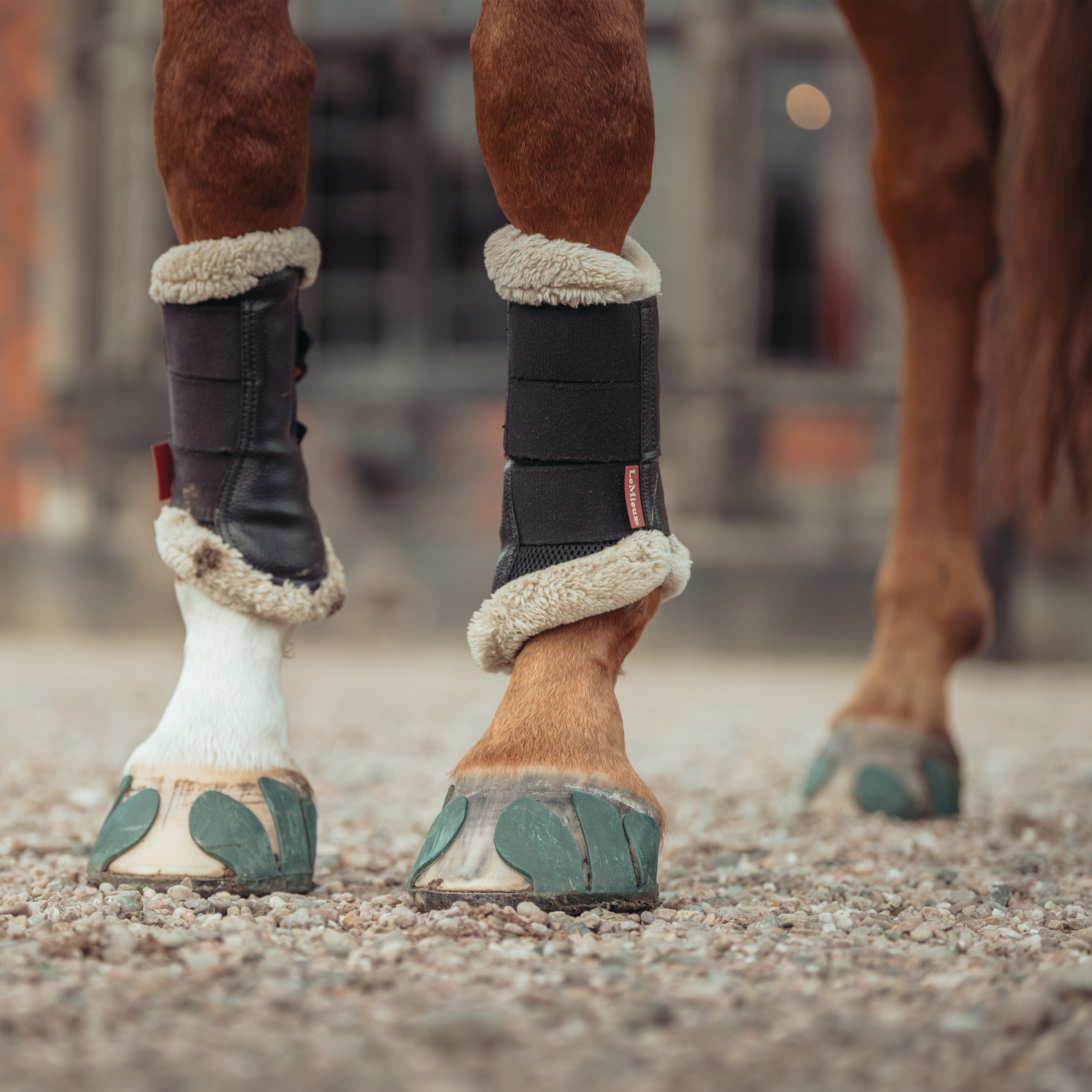 SHS Sport Horse Shoes - The Performer V.4 - 2