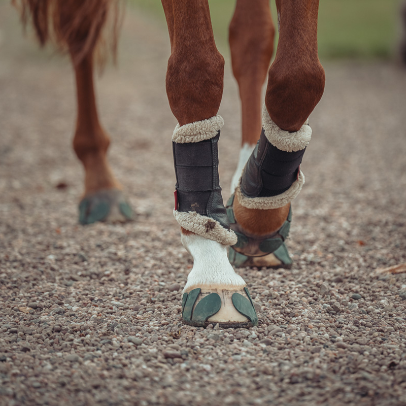 SHS Sport Horse Shoes - The Performer V.3 - 4