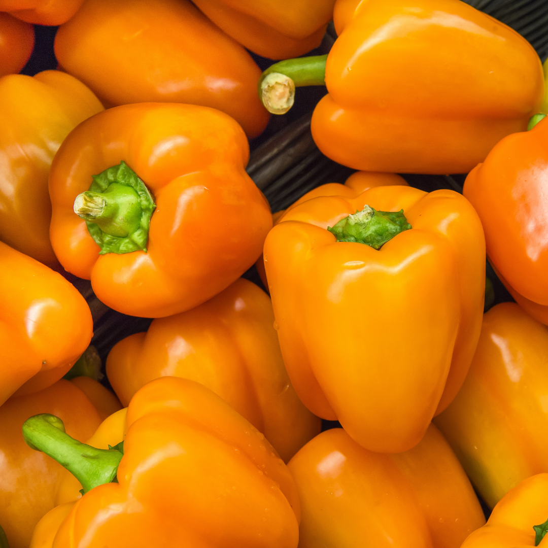 Ekologisk Minipaprika - Sweet Julie
