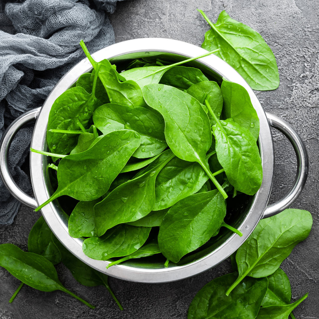 Ekologisk Spenat - Thorin