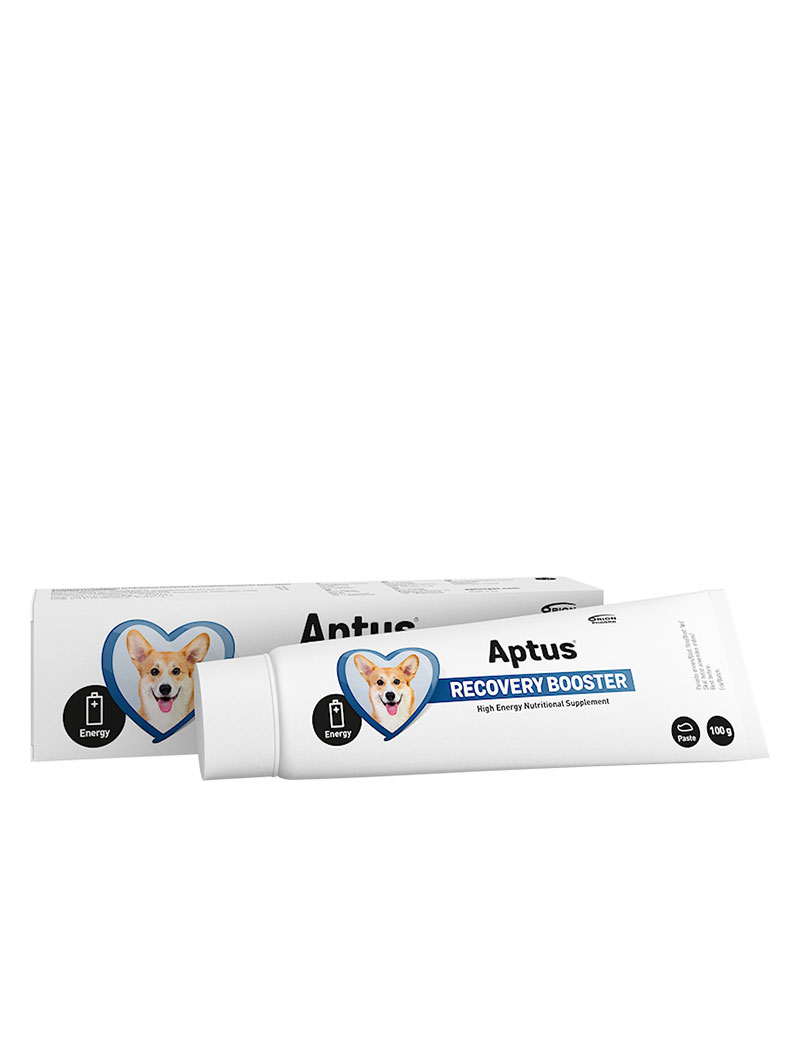 Aptus Recovery Booster Pasta 100g
