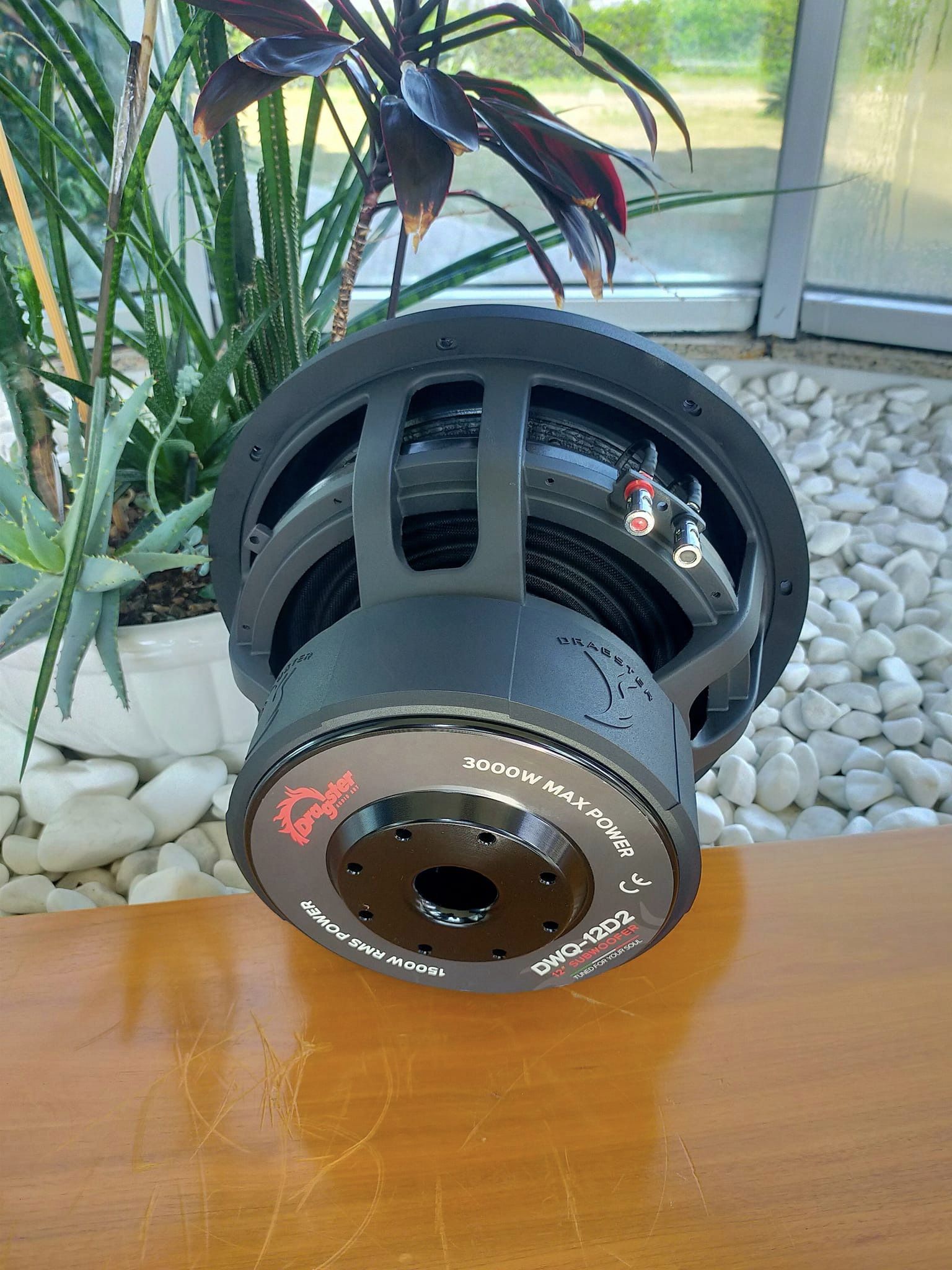 DRAGSTER DWQ-12D2 - 5