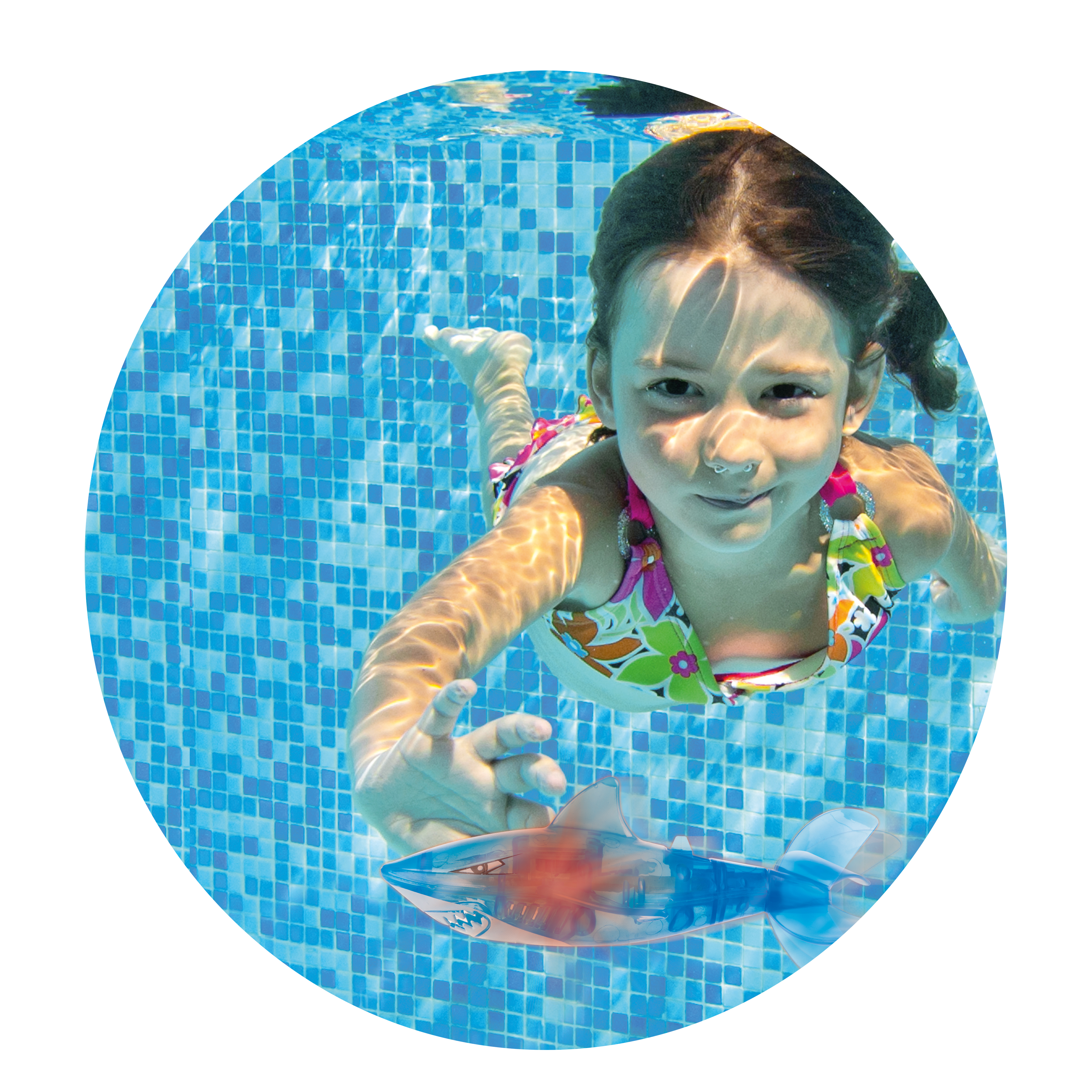 SPLASH catch - simmande haj - 4