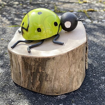 Gräsgrön Guldbagge