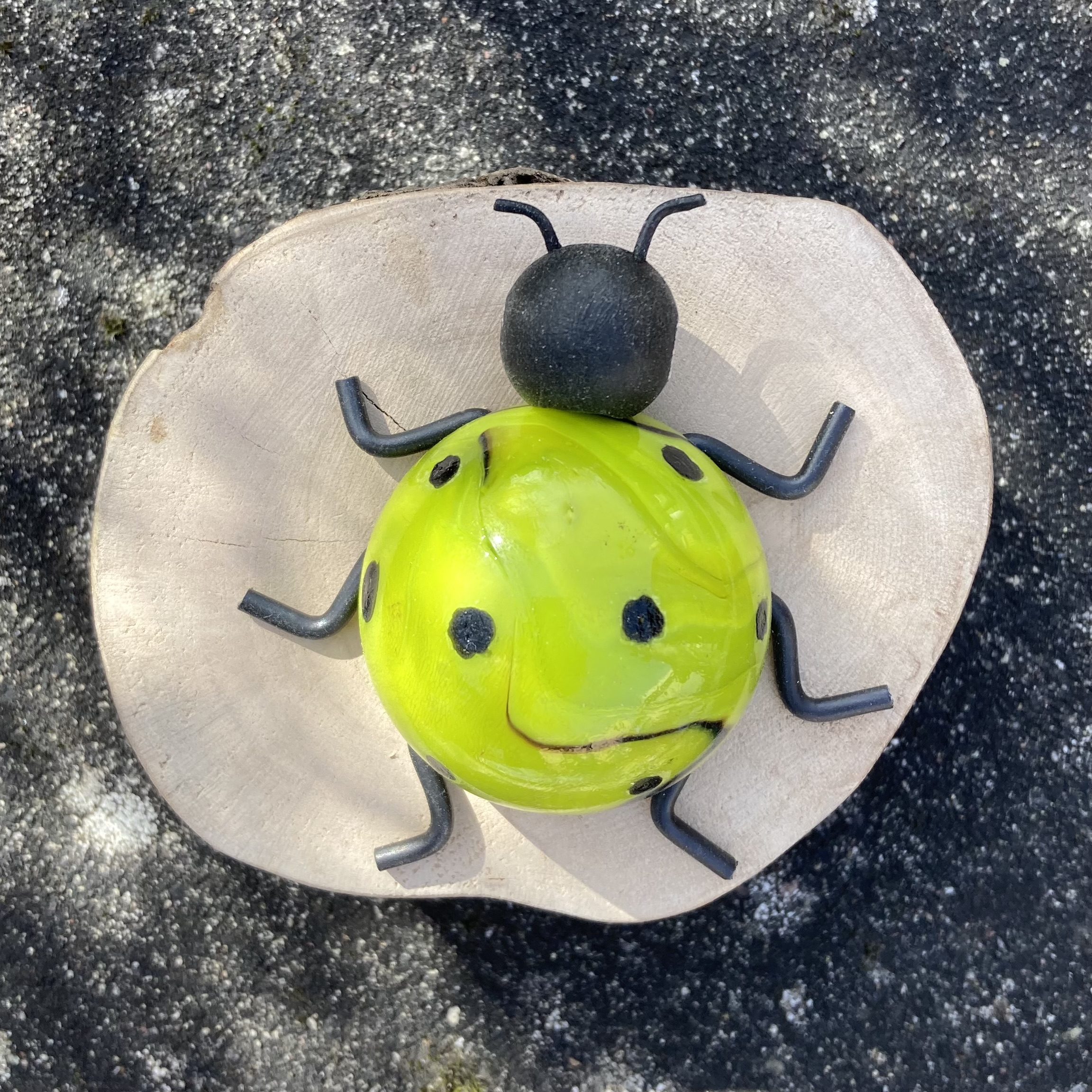 Gräsgrön Guldbagge - 2