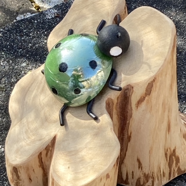 Guldbagge På En - 3