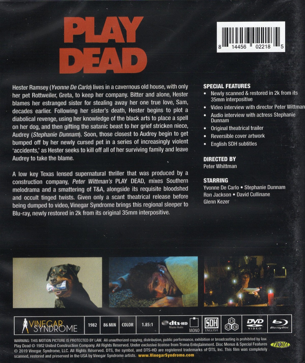 Play Dead (ej svensk text) (Blu-ray + DVD) - 2
