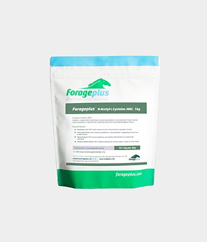 FORAGEPLUS N-ACETYL-L-CYSTEINE FOR HORSES (NAC)