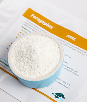 FORAGEPLUS AAKG FOR HORSES - ARGININE ALPHA KETOGLUTARATE