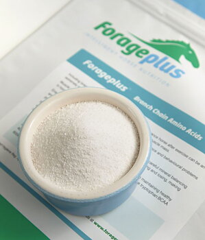 FORAGEPLUS BRANCH CHAIN AMINO ACIDS – BCAA’S