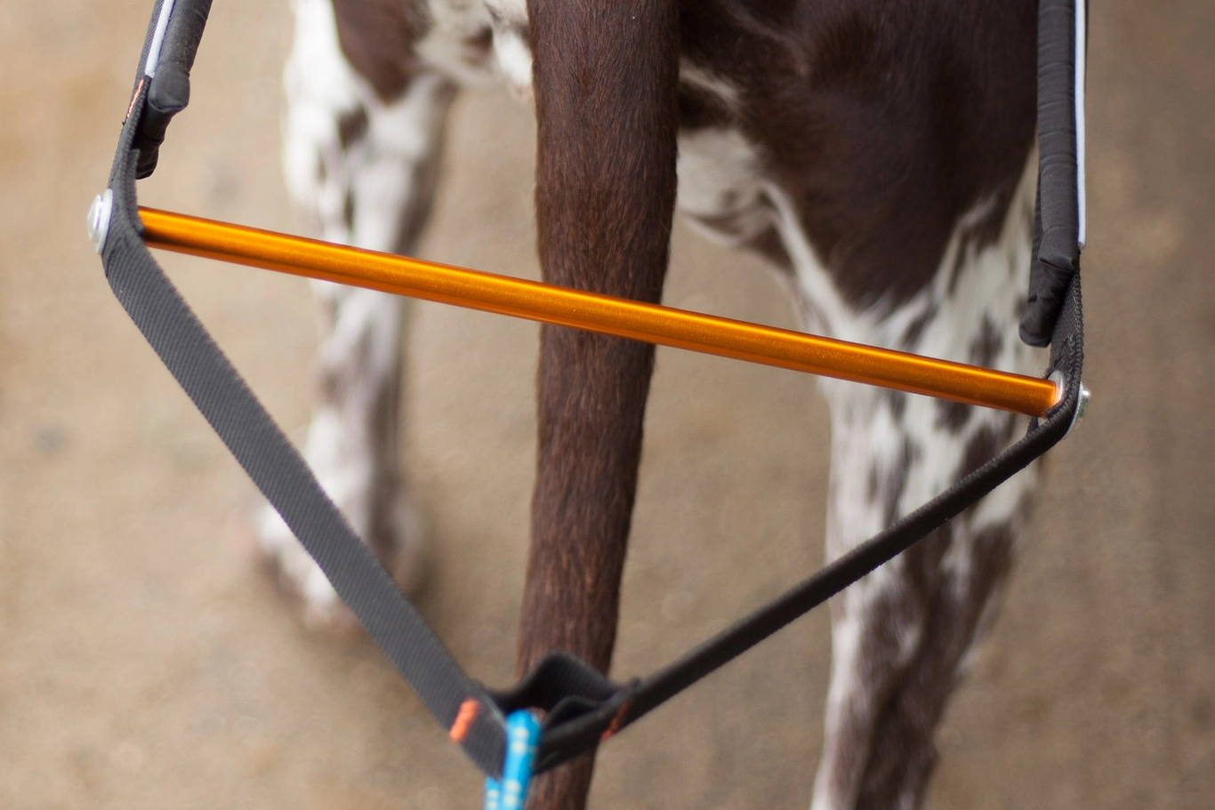 Non-stop Dogwear Nansen Stick Harness - 7
