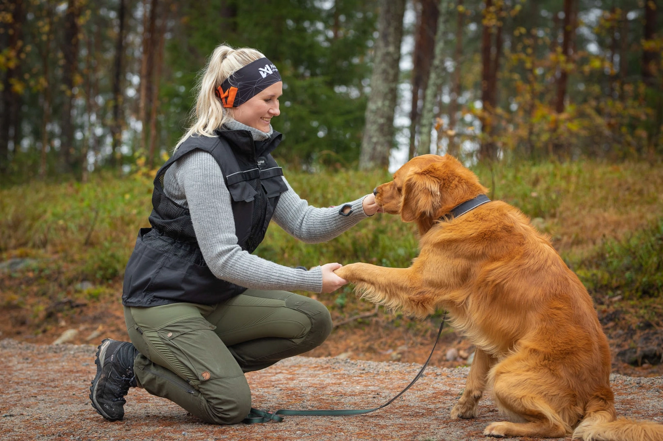 Non-Stop Dogwear Dog training vest - 2