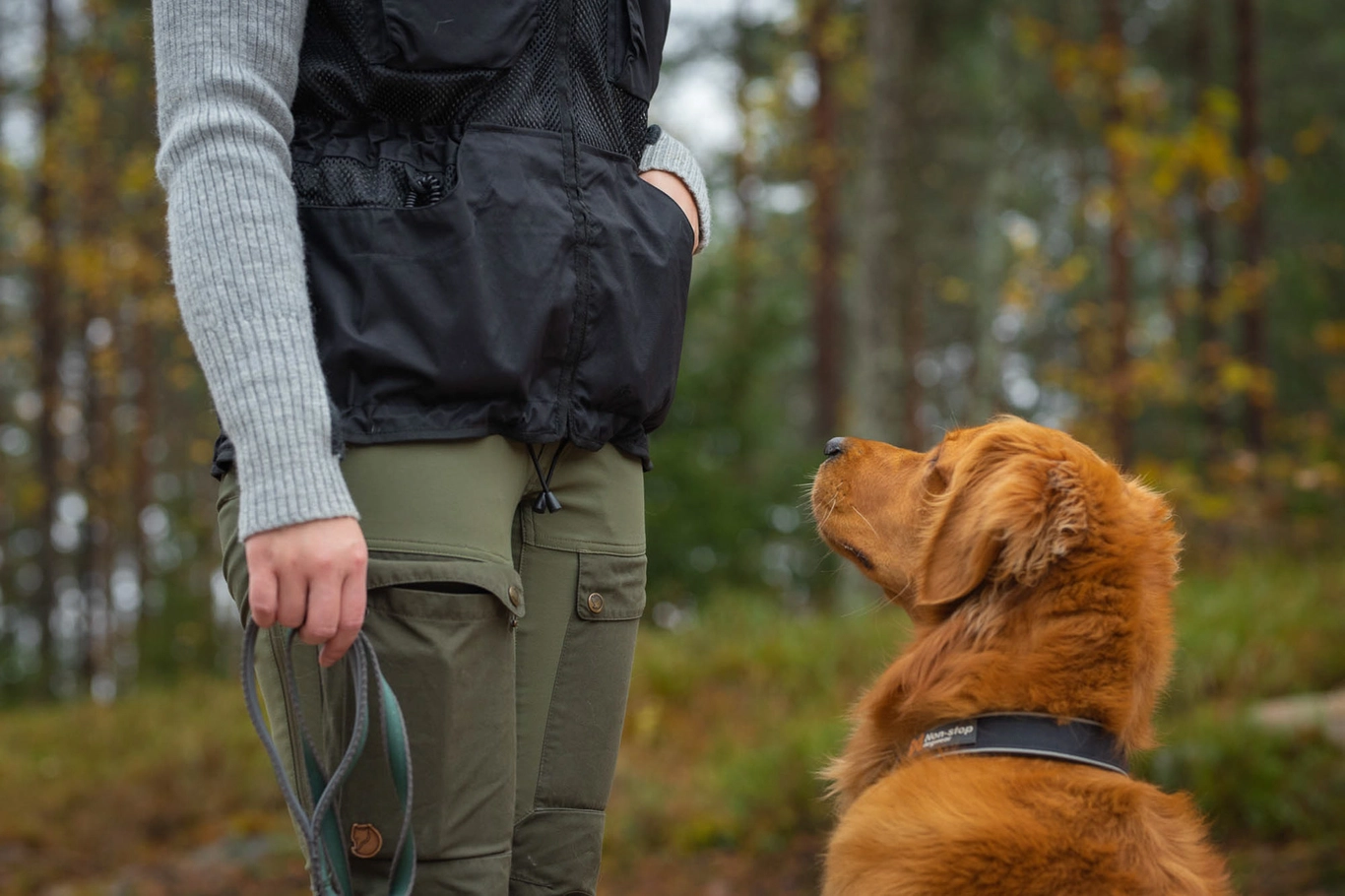 Non-Stop Dogwear Dog training vest - 6