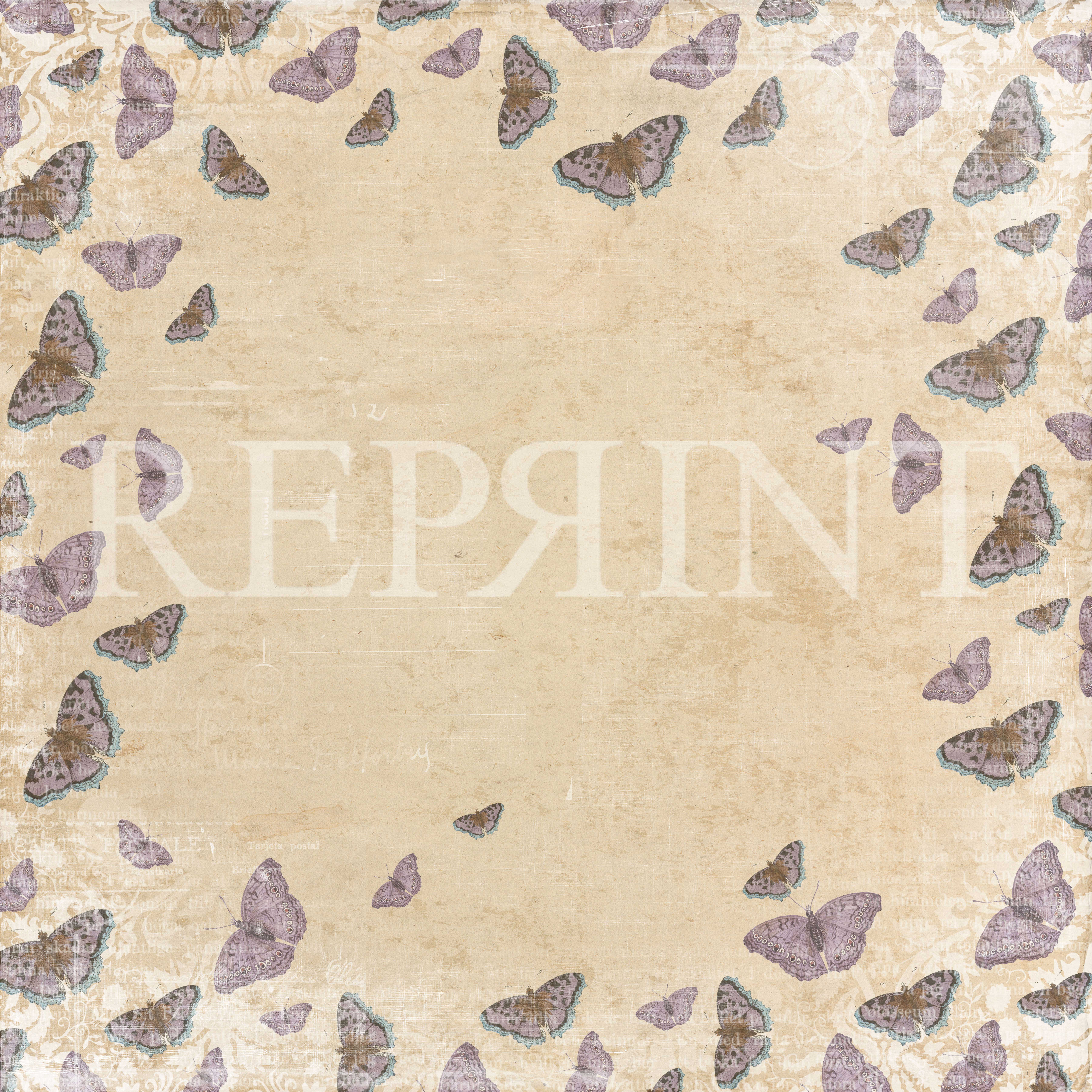 R 0384 Purple Ephemera -Butterflies
