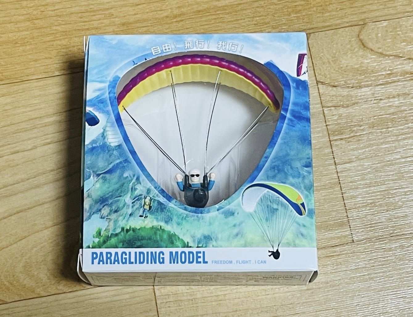 Davinci Paraglider Car Toy - 3