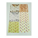 Mixed Set 8 Paper 6x6