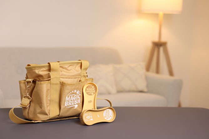 Magic Brush Care Bag  - Gold