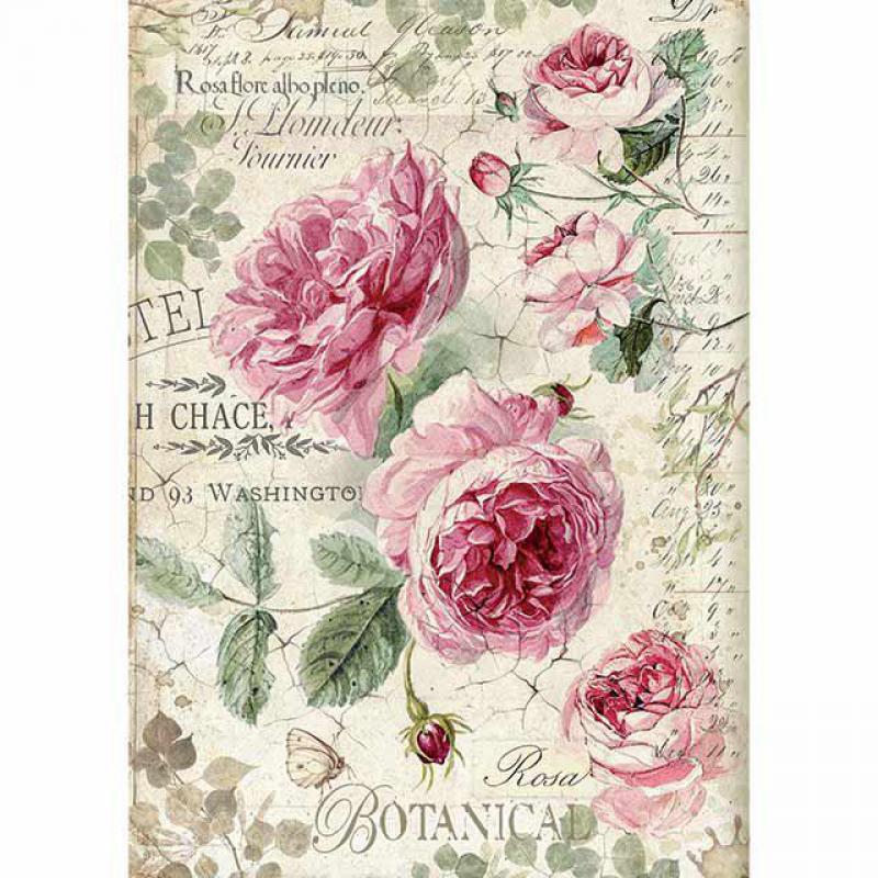 Botanic English Roses