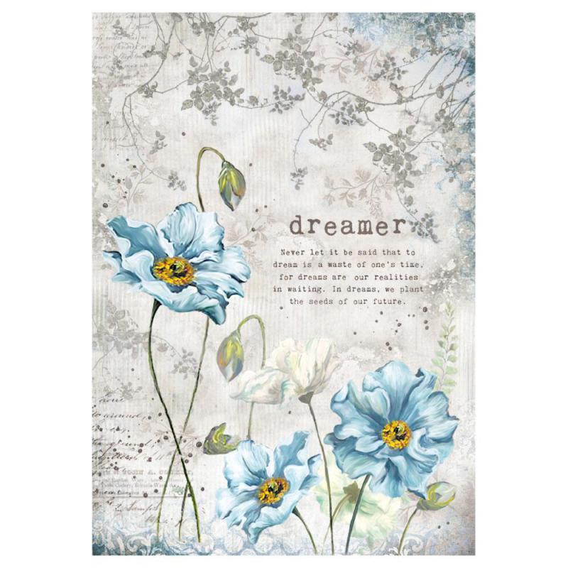 Dreamer