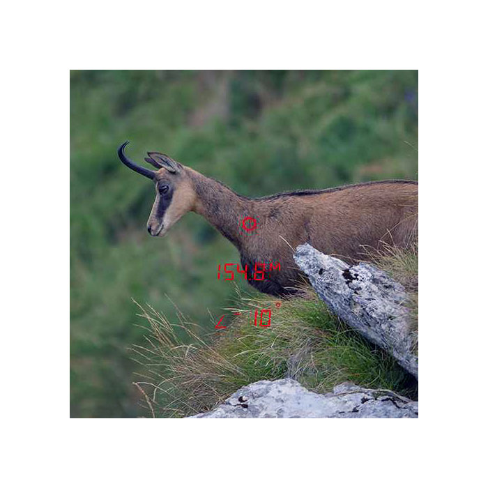 GPO Rangeguide 3200 8x40 - 4