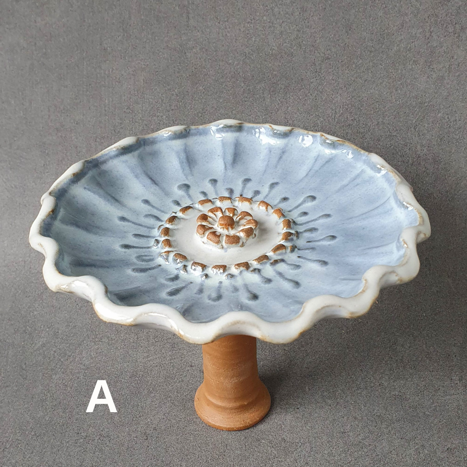 Insects drinking dish - 4