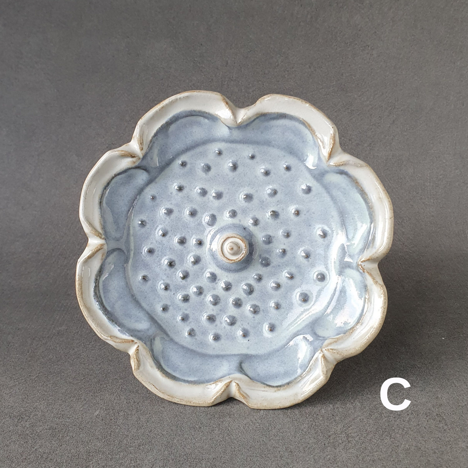Insects drinking dish - 7
