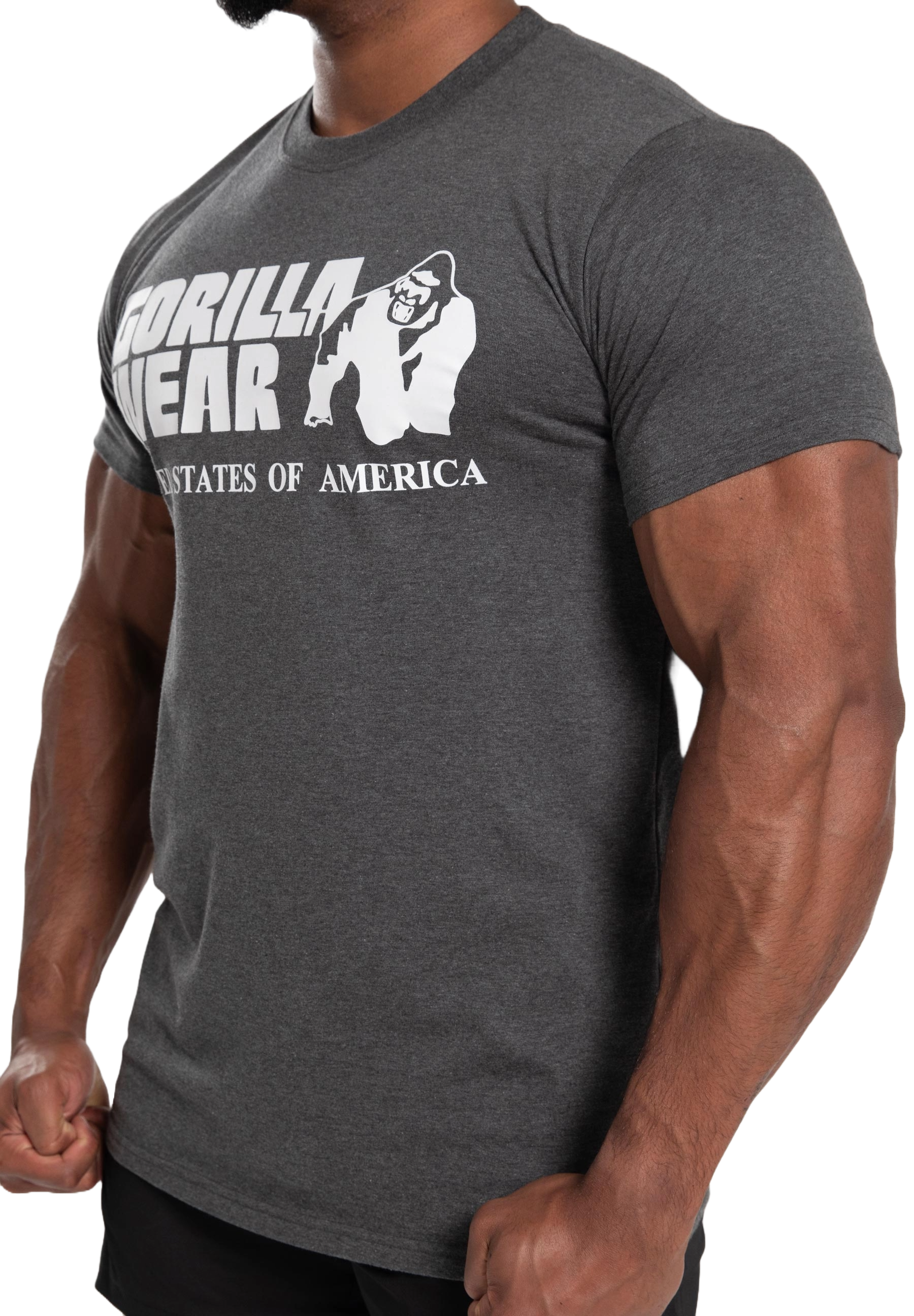 Classic T-Shirt, dark grey - 10