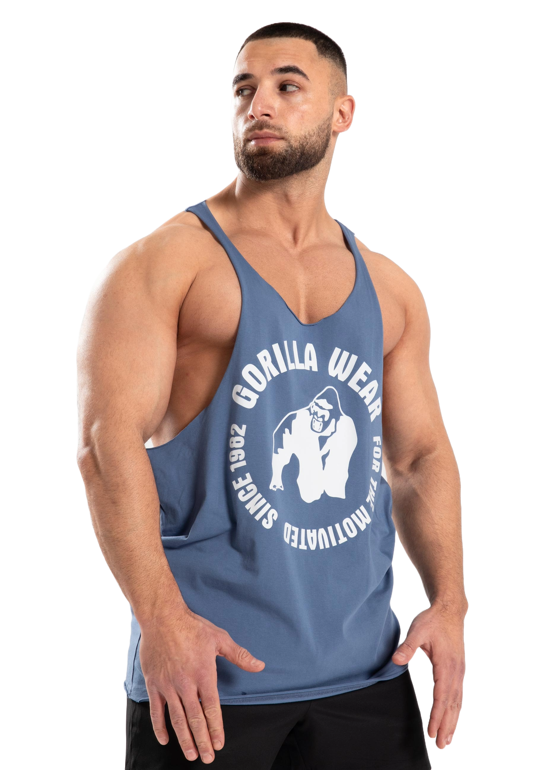 Melrose Stringer, coronet blue