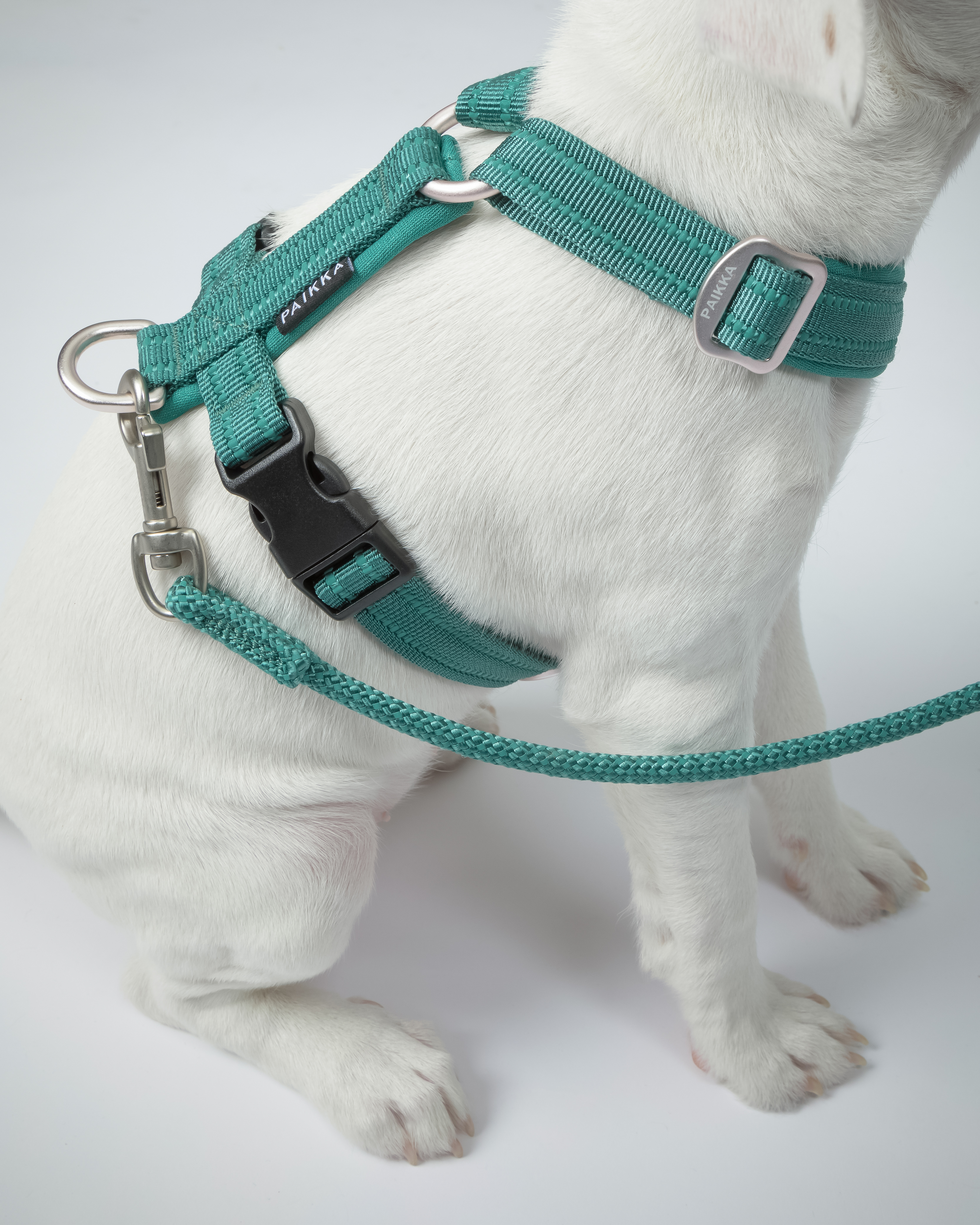 PAIKKA Easy Harness Emerald PETSTER