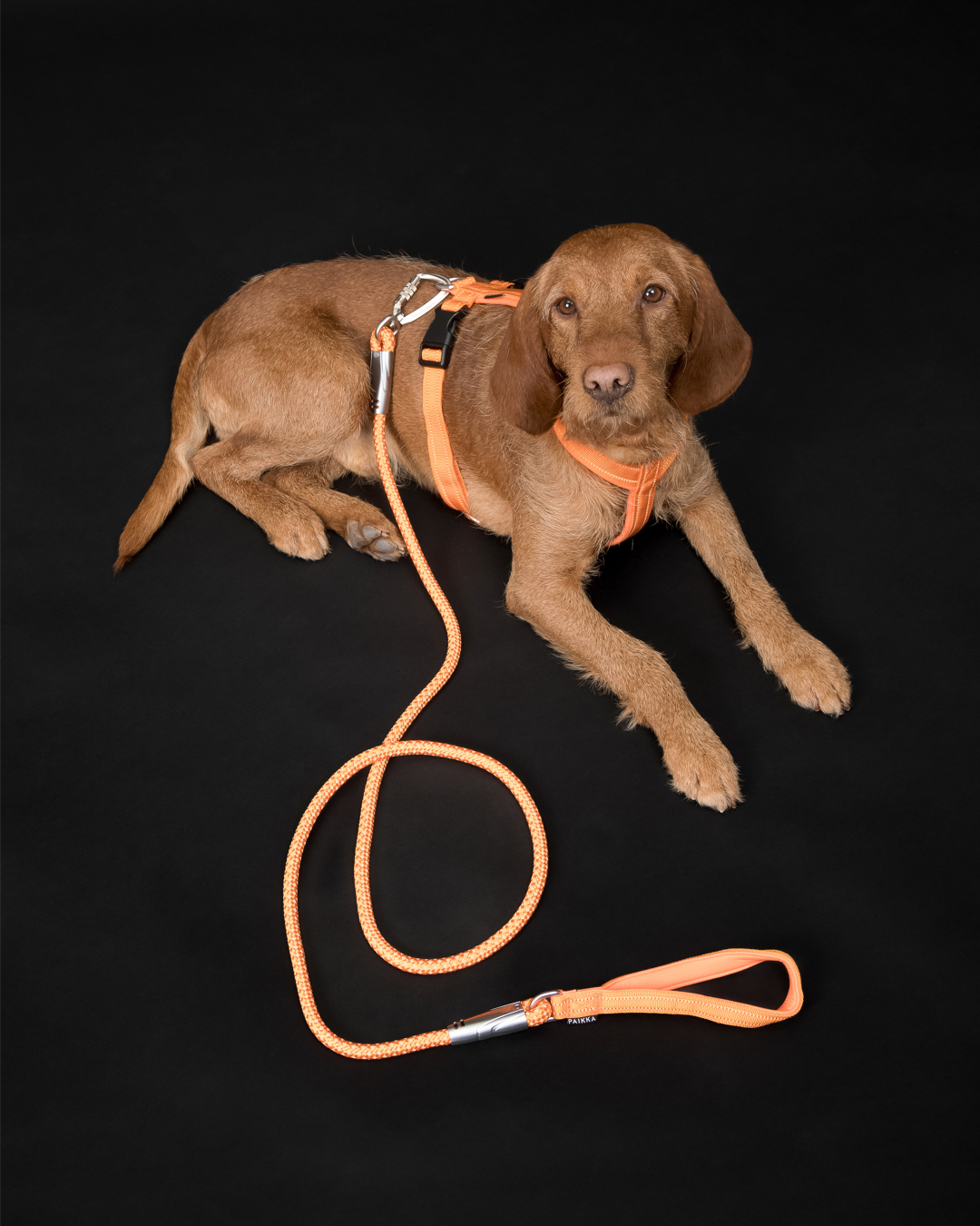 PAIKKA Visibility Rope Leash - Orange  - 4