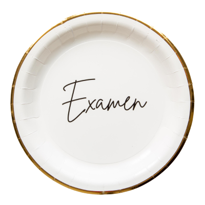 Papptallrikar Examen 