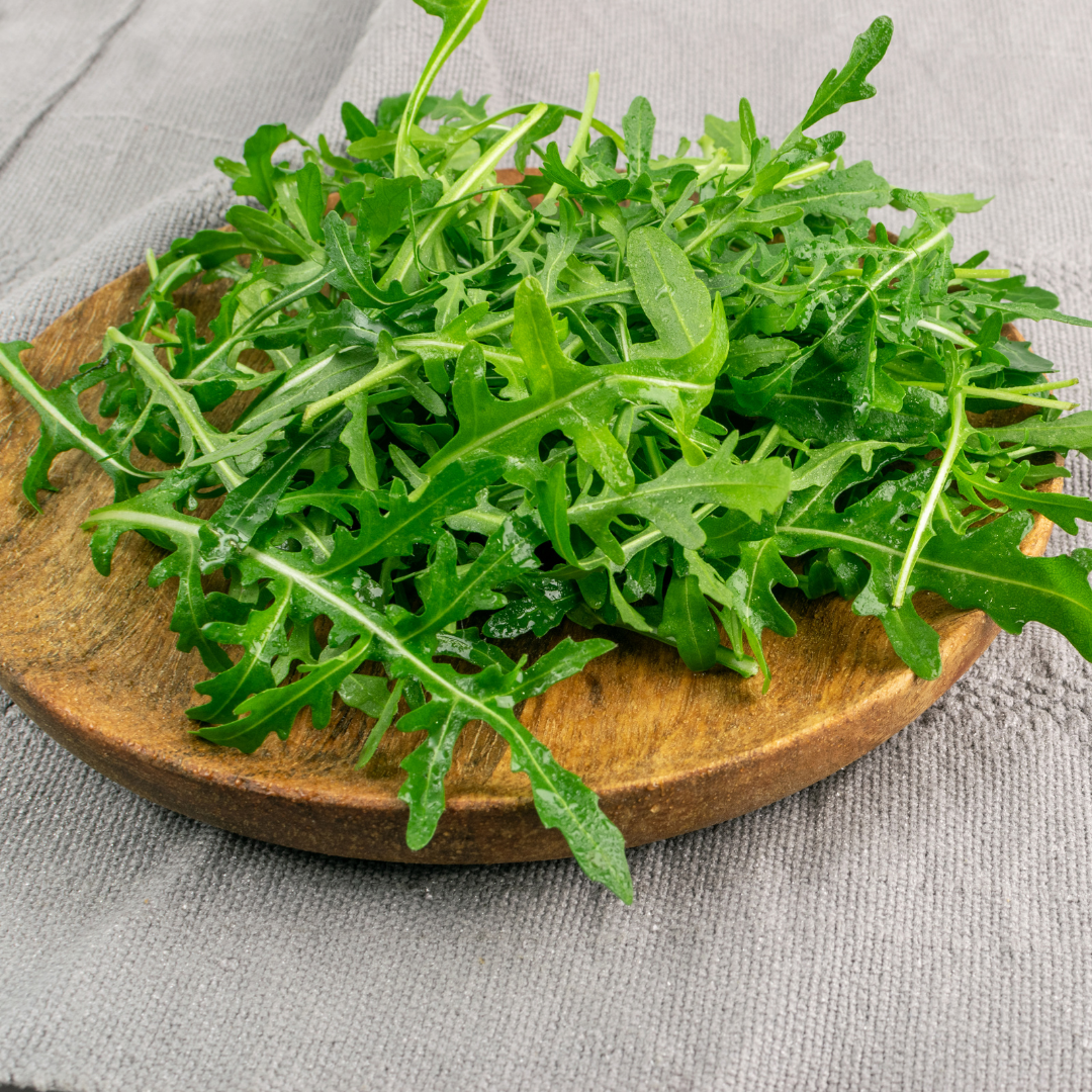 Ekologisk Ruccolasallat - Senapskål