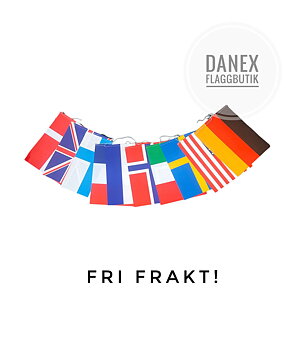 Flaggspel 10 Nationer - FYND 