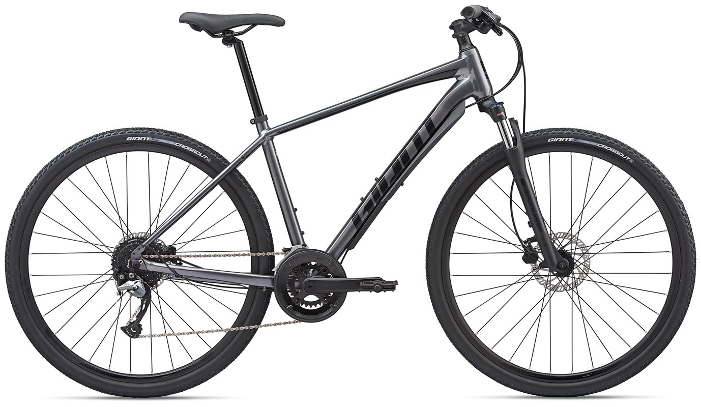 Giant Roam 2