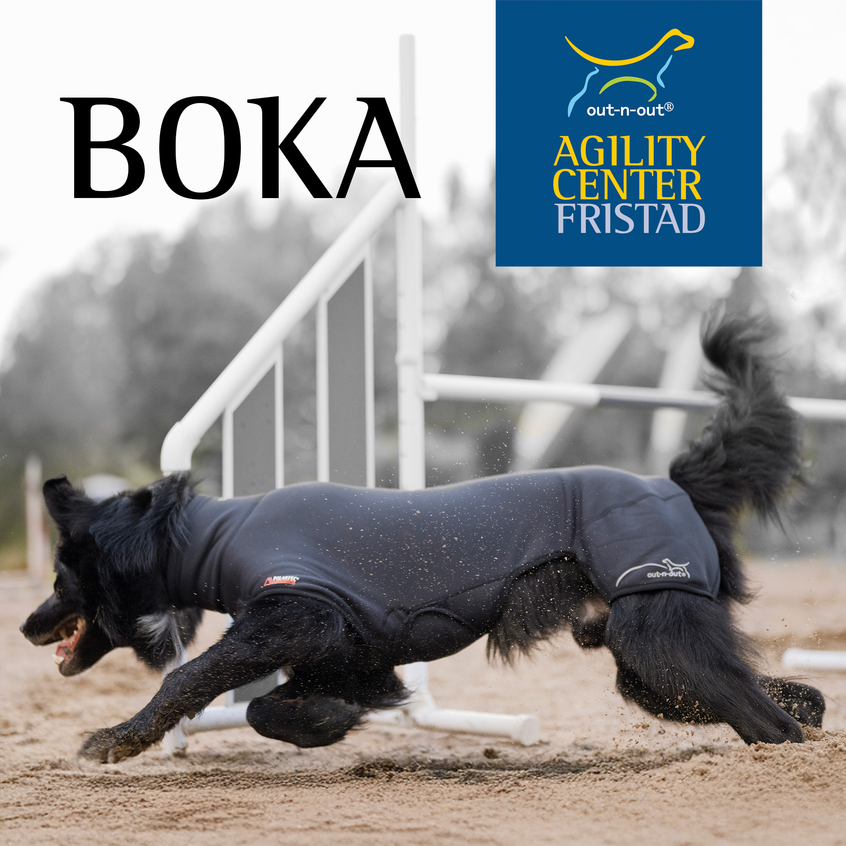  Boka: Out-n-out® Agility Center