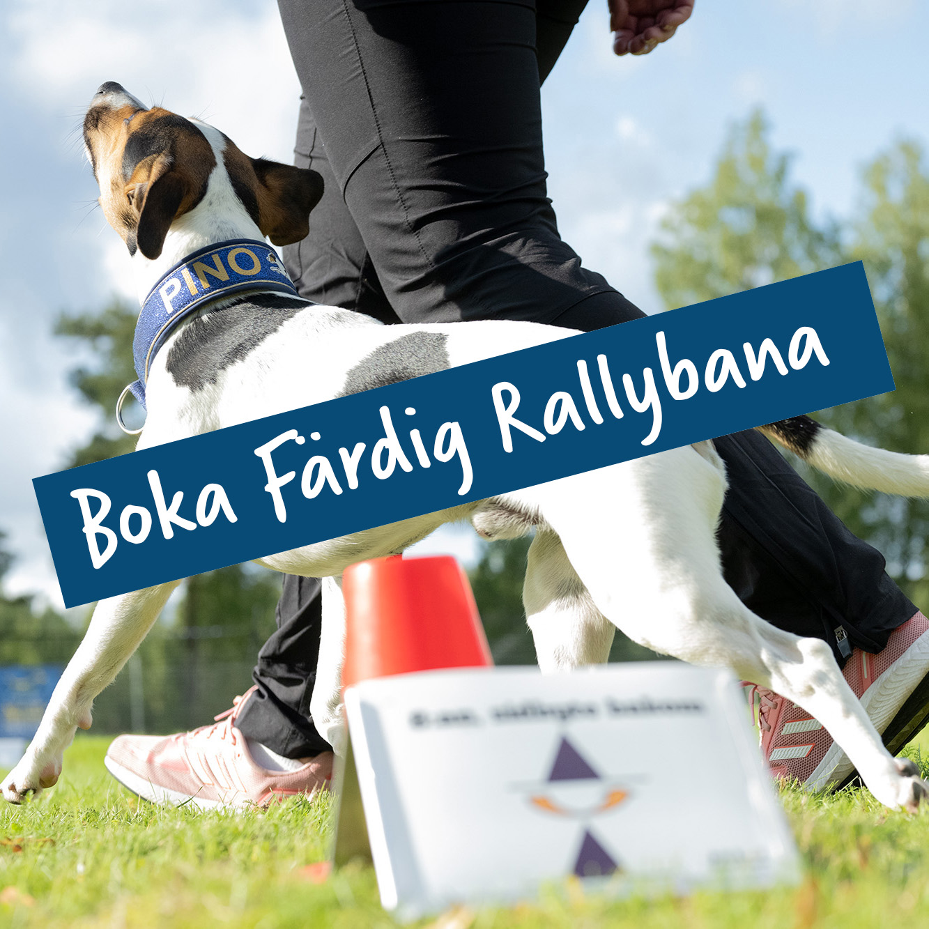  Boka: Out-n-out® Agility Center