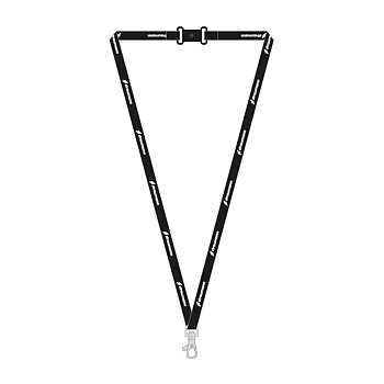 Lanyard
