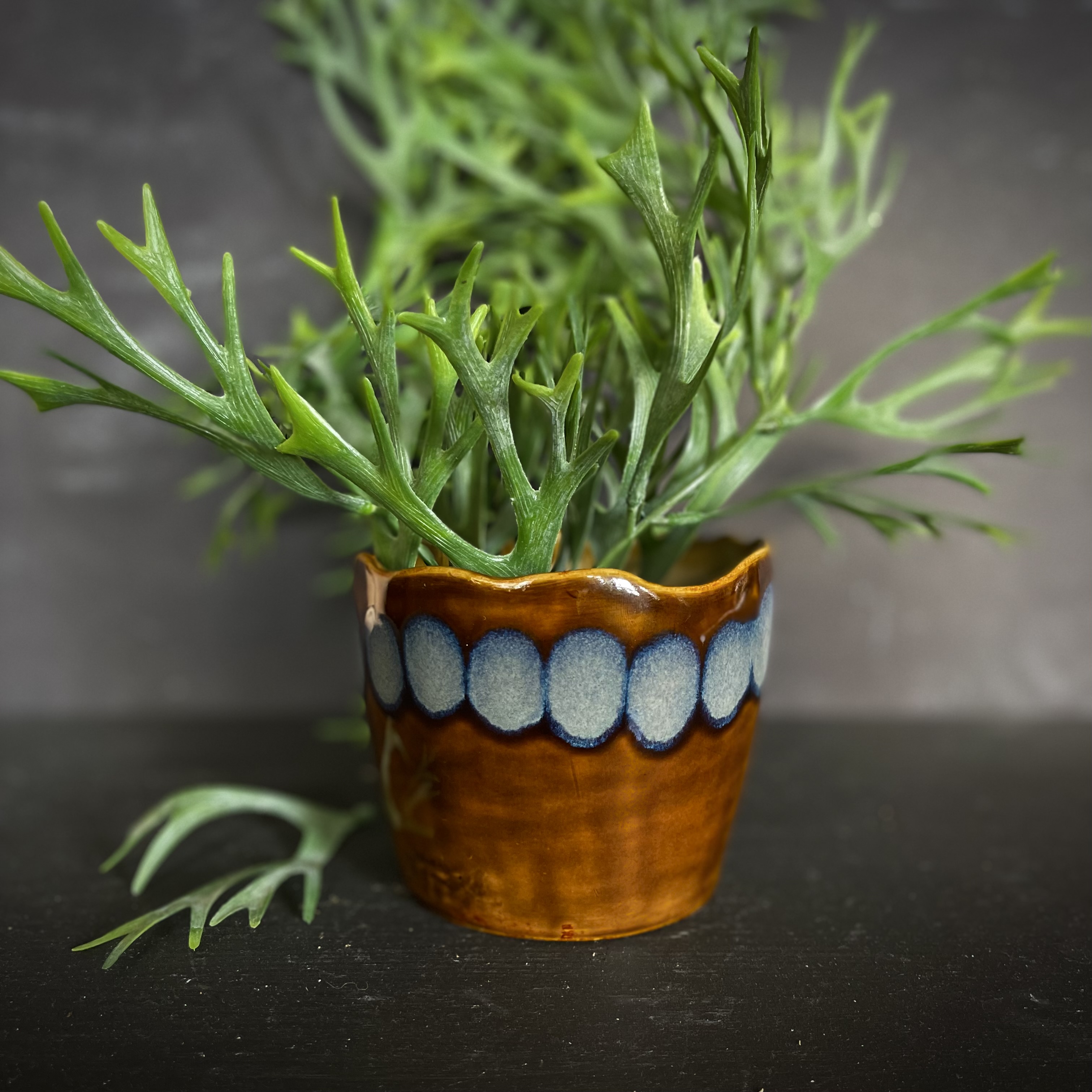 Spoton Blomsterpotte Iron - 4