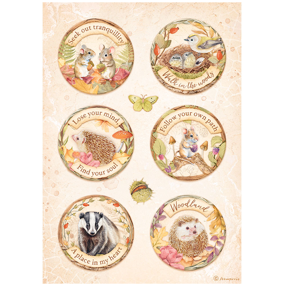 Rispapperset  Woodland - 5